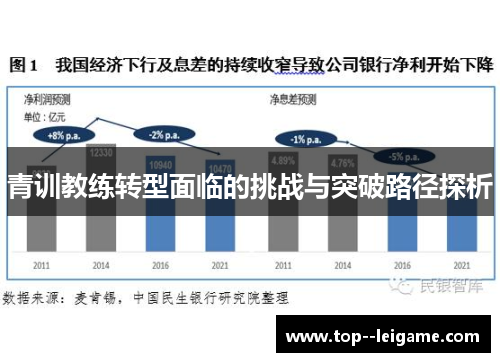 青训教练转型面临的挑战与突破路径探析