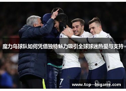 魔力鸟球队如何凭借独特魅力吸引全球球迷热爱与支持 魔力鸟球队如何凭借独特魅力吸引全球球迷热爱与支持
