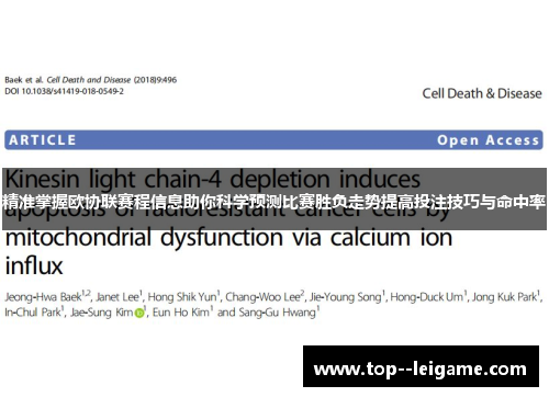 精准掌握欧协联赛程信息助你科学预测比赛胜负走势提高投注技巧与命中率 精准掌握欧协联赛程信息助你科学预测比赛胜负走势提高投注技巧与命中率